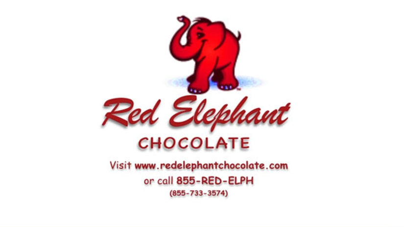 Student 2D Animation Red Elephant Ad